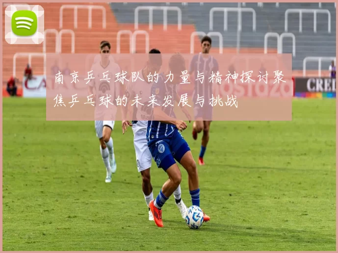 南京乒乓球队的力量与精神探讨聚焦乒乓球的未来发展与挑战