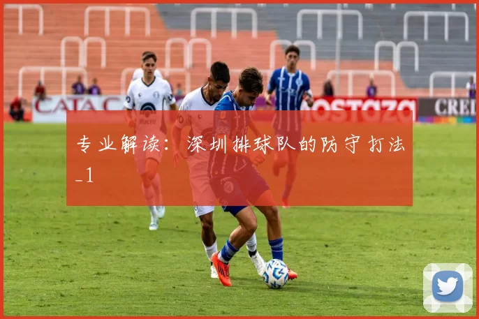 专业解读：深圳排球队的防守打法_1