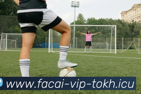 星空体育APP 高清赛事图